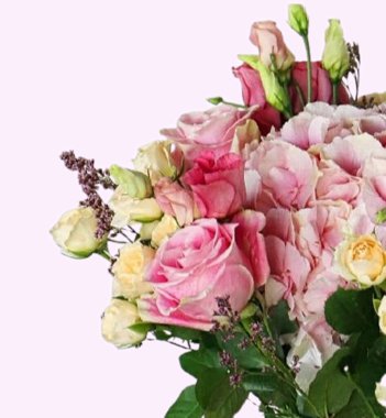 Güzel arka planı olan güzel çiçekler.