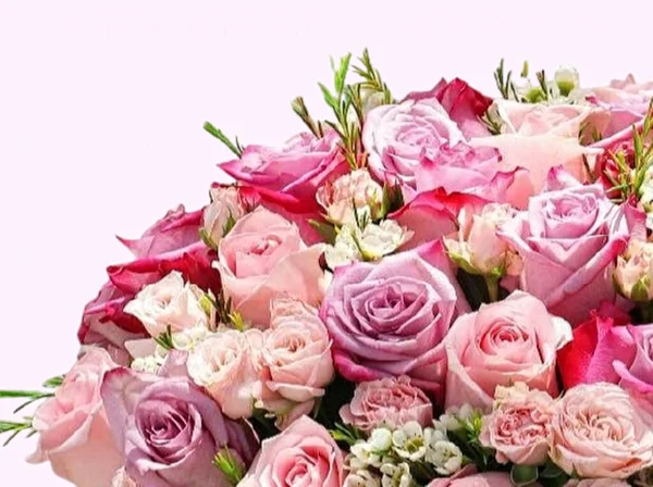 Hermosas Flores Con Bonito Fondo —  Fotos de Stock