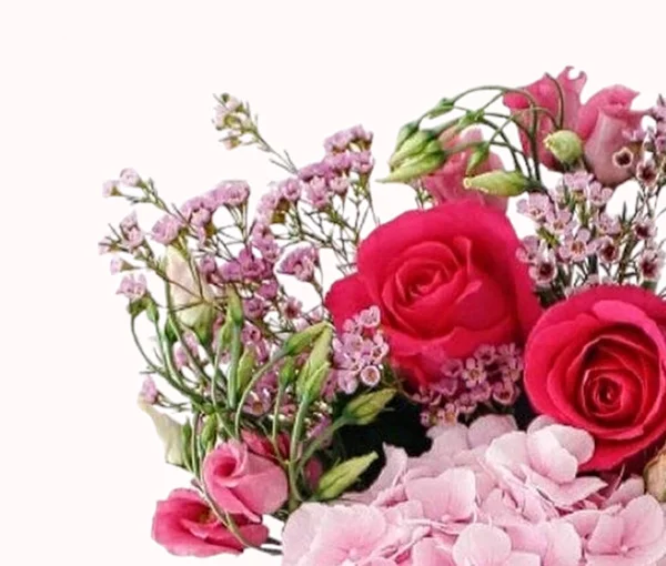 Hermosas Flores Con Bonito Fondo —  Fotos de Stock