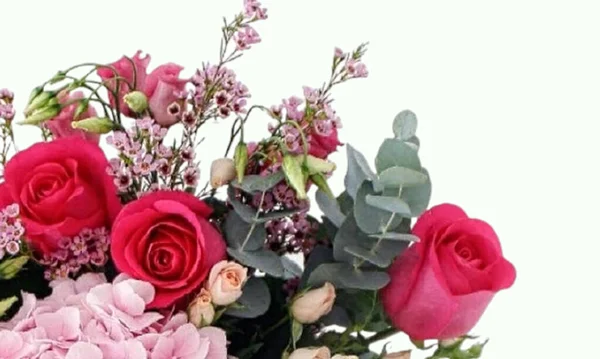 Mooie Bloemen Met Mooie Achtergrond Rechtenvrije Stockfoto's