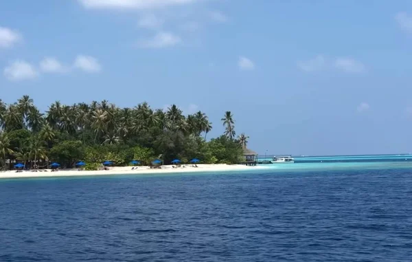 Piękna Przyroda Plaży — Zdjęcie stockowe