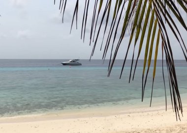 Okyanusun yanındaki kumlu bir plajın tepesinde bir şemsiye.