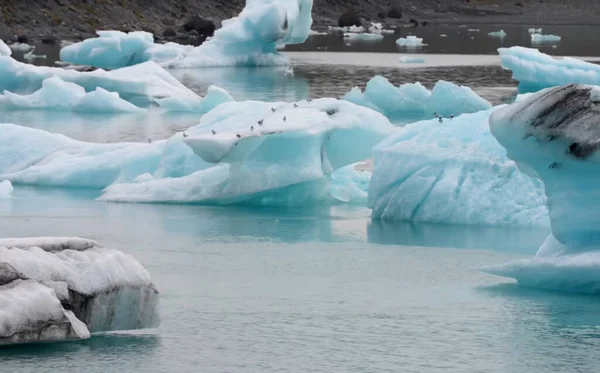 Zwevende Ijsgletsjers Koud Water — Stockfoto