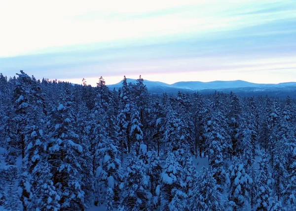 从白雪覆盖的山顶看风景 — 图库照片