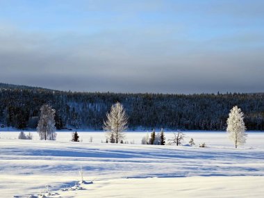 Karla kaplı bölge güzel doğa manzarası