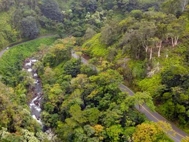 Bir ormanın yanındaki yamacın yakınına.