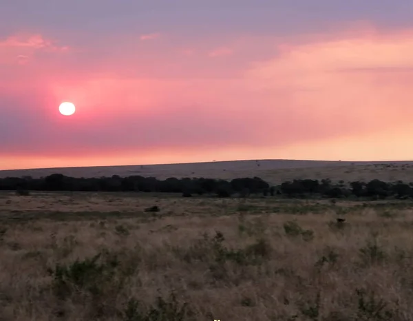Sunset Dry Grass Field — Stockfoto