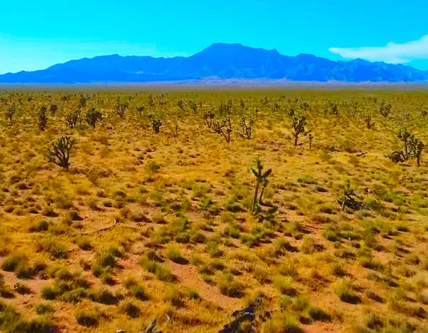 Verde Bella Vista Sulla Natura — Foto Stock