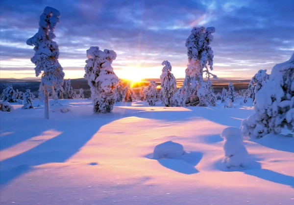 Солнечные Лучи Над Покрытой Снегом Областью — стоковое фото