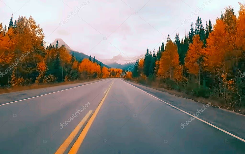 a view of a road with colorful trees 