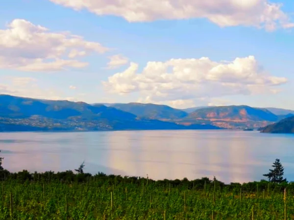 Berge Und Grün Schöne Aussicht Auf Die Natur — Stockfoto