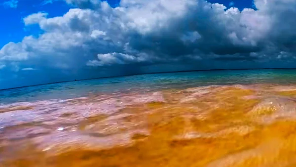 Вода Рядом Океаном — стоковое фото