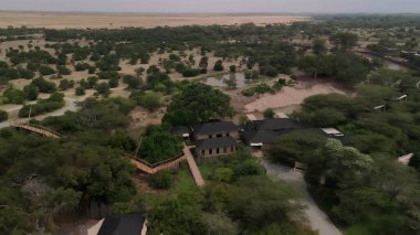 Ormandaki nehrin havadan görünüşü