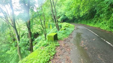 Parkın güzel manzarası