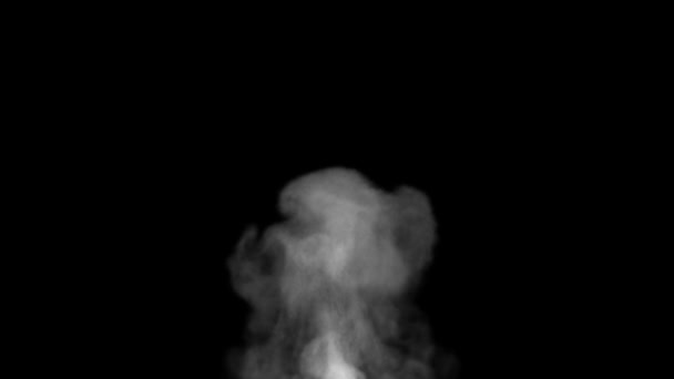 Ο ατμός αναπτύσσεται και εκτοξεύεται. Γρήγορη ροή καπνού με υψηλή πυκνότητα και αναταράξεις. — Αρχείο Βίντεο