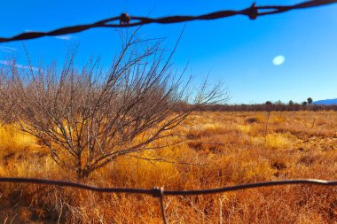 Kırsal manzaralı kırsal çit
