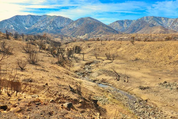 Aftermath of the 2020 California fires in Angeles National Forest. Photos taken near the Devils Punchbowl hiking trail February 2021.