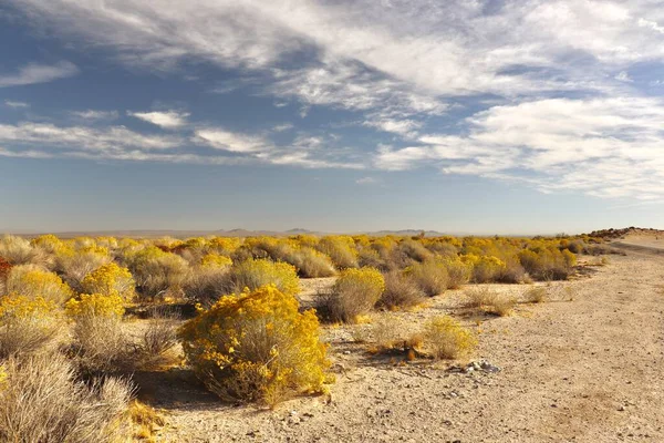 Desert Landscape Southern California — Stock Photo, Image