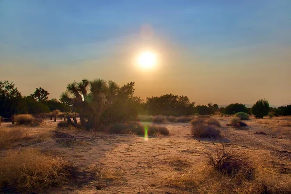 Wunderschöne Kalifornische Wüstenlandschaft Während Der Goldenen Stunde Abend — Stockfoto