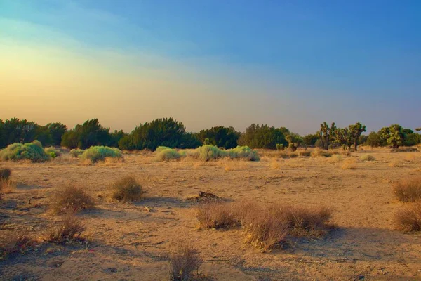 Vackra Kalifornien Desert Landscape Tas Kvällen Golden Hour — Stockfoto