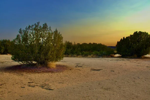 Beautiful California Desert Landscape Taken Evening Golden Hour — Stock Photo, Image