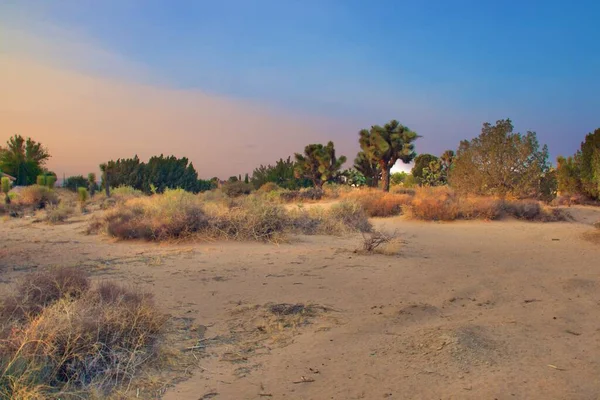 Piękny Krajobraz Pustyni Kalifornii Zrobione Godzinach Wieczornych Golden Hour — Zdjęcie stockowe