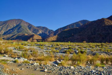 Dağ Arkaplanlı Kaliforniya Çölleri