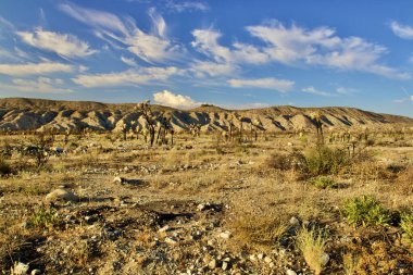 Dağ Arkaplanlı Kaliforniya Çölleri