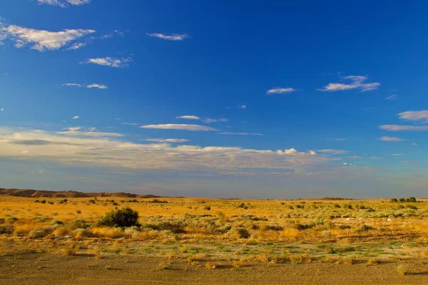 Paisaje Del Desierto California Con Fondo Montaña —  Fotos de Stock