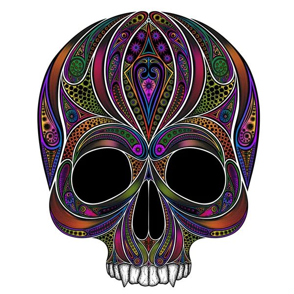 Vector de color del cráneo humano. Sin la mandíbula inferior. Halloween 2016 — Vector de stock