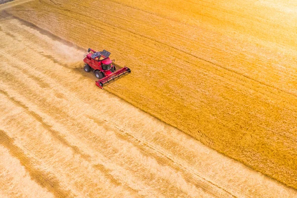 Pôr Sol Tempo Vermelho Combinar Trigo Colheita Campo Máquina Colheita — Fotografia de Stock