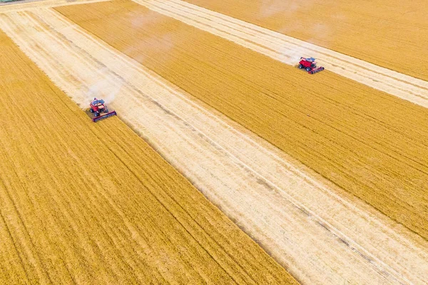 無人機からの眺め 2本の赤が畑の小麦を組み合わせて 空中展望 畑で働く機械を収穫する 収穫機を組み合わせる — ストック写真