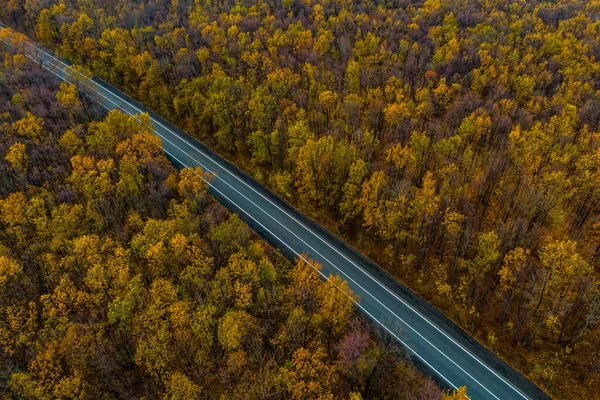 Lege Asfaltweg Door Het Herfstbos Reisconcept Top View Van Drone — Stockfoto