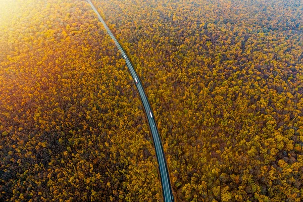 Білі Вантажівки Їздять Асфальтовій Дорозі Через Осінній Ліс Вантажні Перевезення — стокове фото