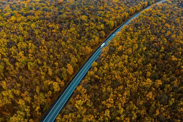 Witte Truck Rijdt Een Asfaltweg Door Het Herfstbos Vrachtvervoer Vrachtvervoer — Stockfoto