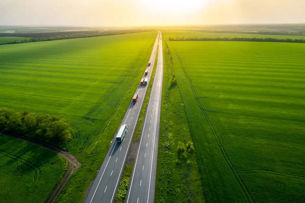 Serval Vrachtwagens Met Container Rijden Asfalt Weg Langs Groene Velden — Stockfoto
