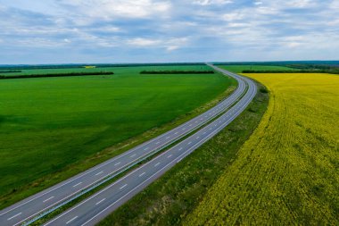 Yeşil geçitte boş asfalt yol var. Hava manzaralı. İHA fotoğrafçılığı. Güzel manzara