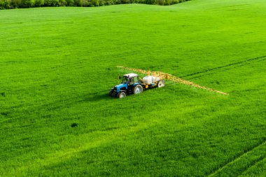 Traktör buğday tarlasına böcek ilacı püskürtüyor İHA 'nın hava görüntüsü