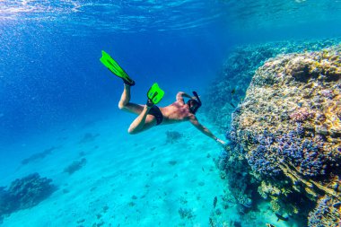 Snorkeler ve mercan kayalıkları. Derin mavi denizde bir yelkenli. Mercan resifinin yakınındaki su altında yaşam. Maskeli bir adam. Serbest dalış sporu aktivitesi. Sualtı ateşi 