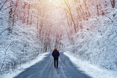 Adam kış ormanlarında yolda yürüyor.
