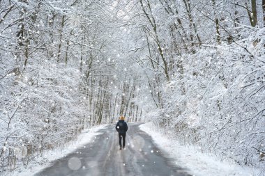 Gezgin kış ormanlarında yolda yürüyor.