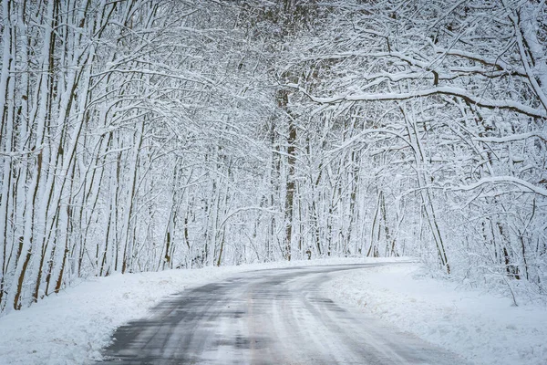 Winter Road Snowy Forest Beautiful Winter Landscape Royalty Free Stock Photos