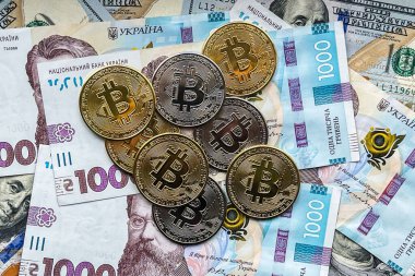 Bin Ukrayna hrivniası ve dolar banknotlarında altın ve gümüş Bitcoin sikkeleri