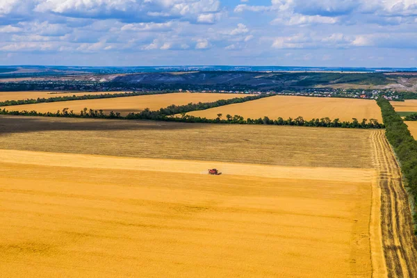 Alleen Rode Oogst Combineert Oogsten Tarwe Bij Zonsondergang Landschap Tarwe — Stockfoto