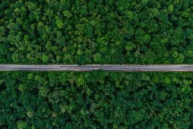 Sarı araba yeşil bir ormanın içinden asfalt bir otoyolda gidiyor. İHA üst yaşam