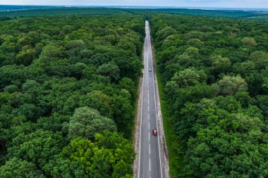 alone red car driving on asphalt road through a green forest. Drone top view. Aerial view landscape.
