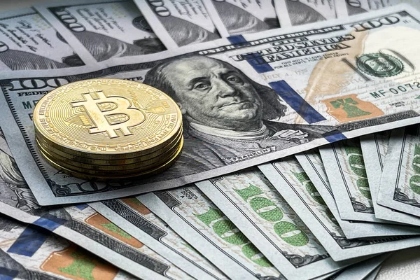 Serval Monete Oro Bitcoin Cripto Valuta Banconote Dollari Usa Moneta — Foto Stock