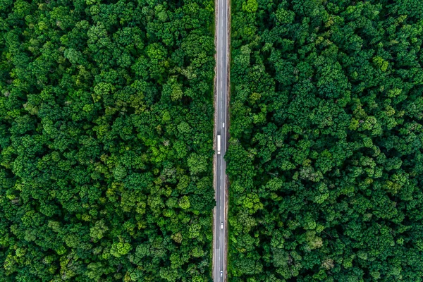 Witte Vrachtwagen Rijdt Een Asfaltweg Door Een Groen Bos Bovenaanzicht — Stockfoto