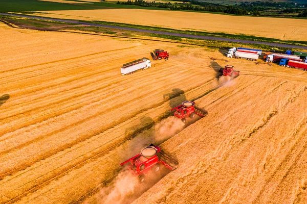 小麦の収穫プロセスです レッドは現場で働いてる 空中ドローン写真 — ストック写真