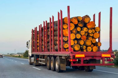 Otoyol boyunca kütüklü kırmızı bir kamyon sürüyor. Ağaç teslimatı
